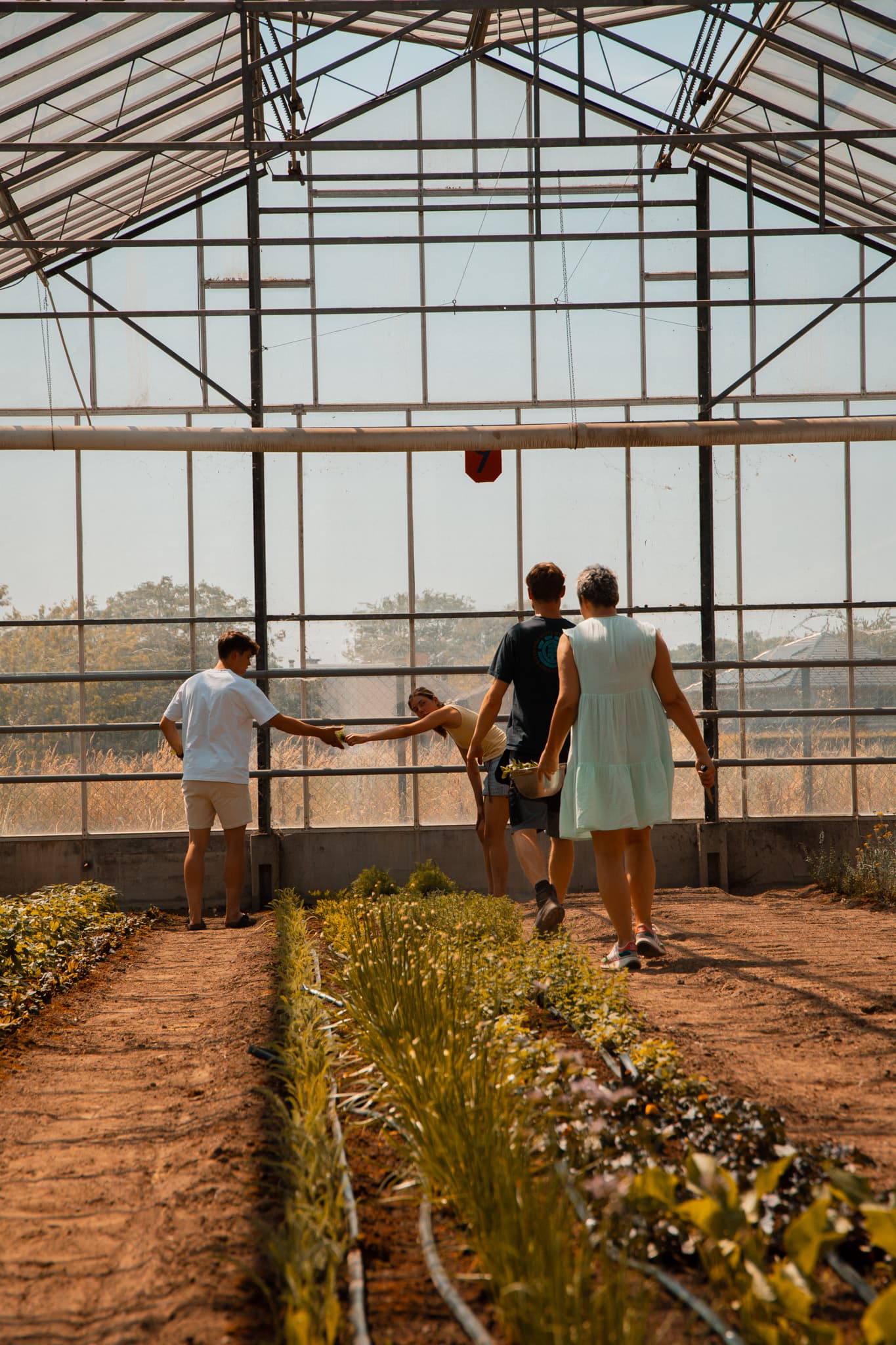 Botanische wandeling
