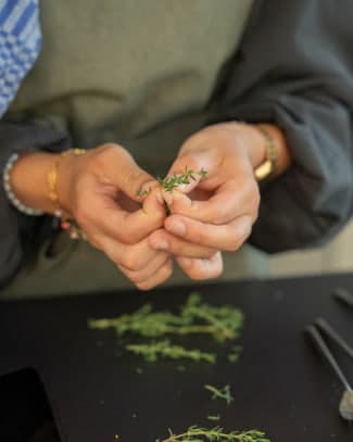 Handen plukken tijm boven een zwarte werkbank